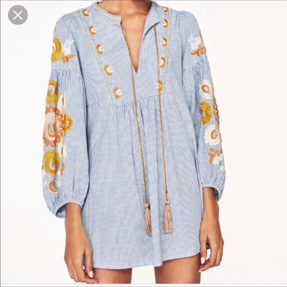 Zara Gingham Embroidered Dress